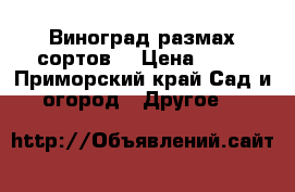 Виноград размах сортов  › Цена ­ 50 - Приморский край Сад и огород » Другое   